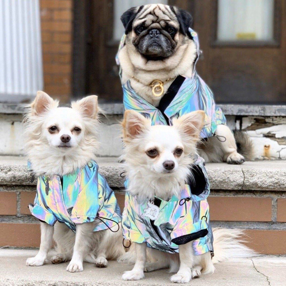 Holographic Dog Coat – ReflectiveClo